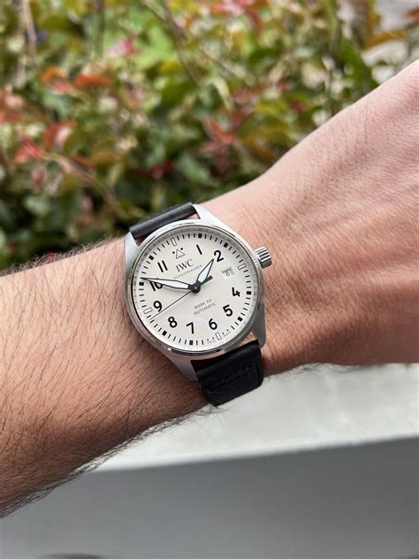 iwc mark hodinkee|iwc mark xx white dial.